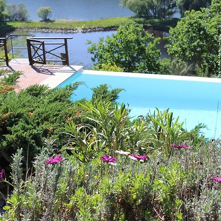 "Bouca Drigues" Casa Antiga De Pedra Com Piscina E Vista Rio Villa Amarante Bagian luar foto