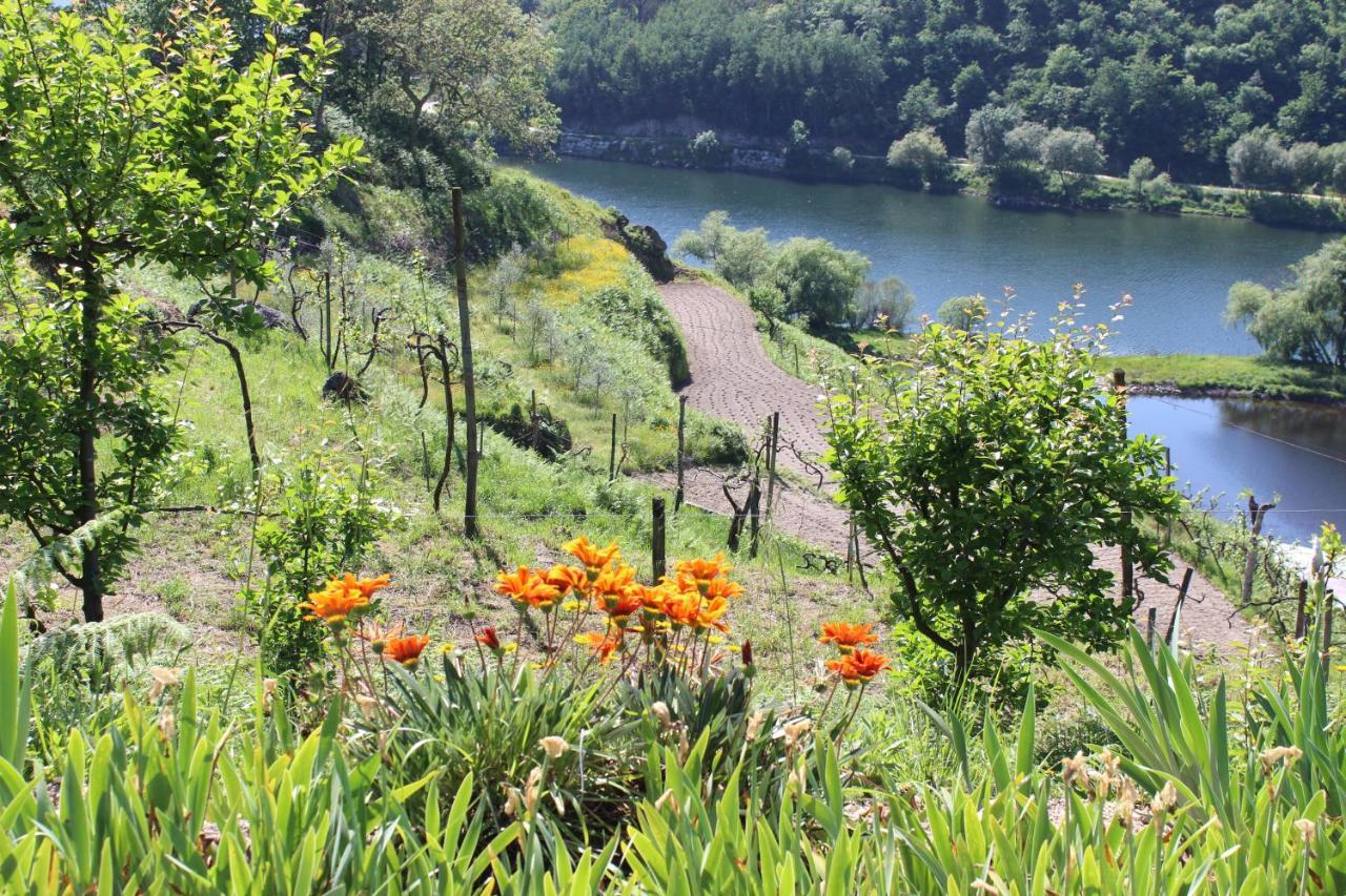 "Bouca Drigues" Casa Antiga De Pedra Com Piscina E Vista Rio Villa Amarante Bagian luar foto