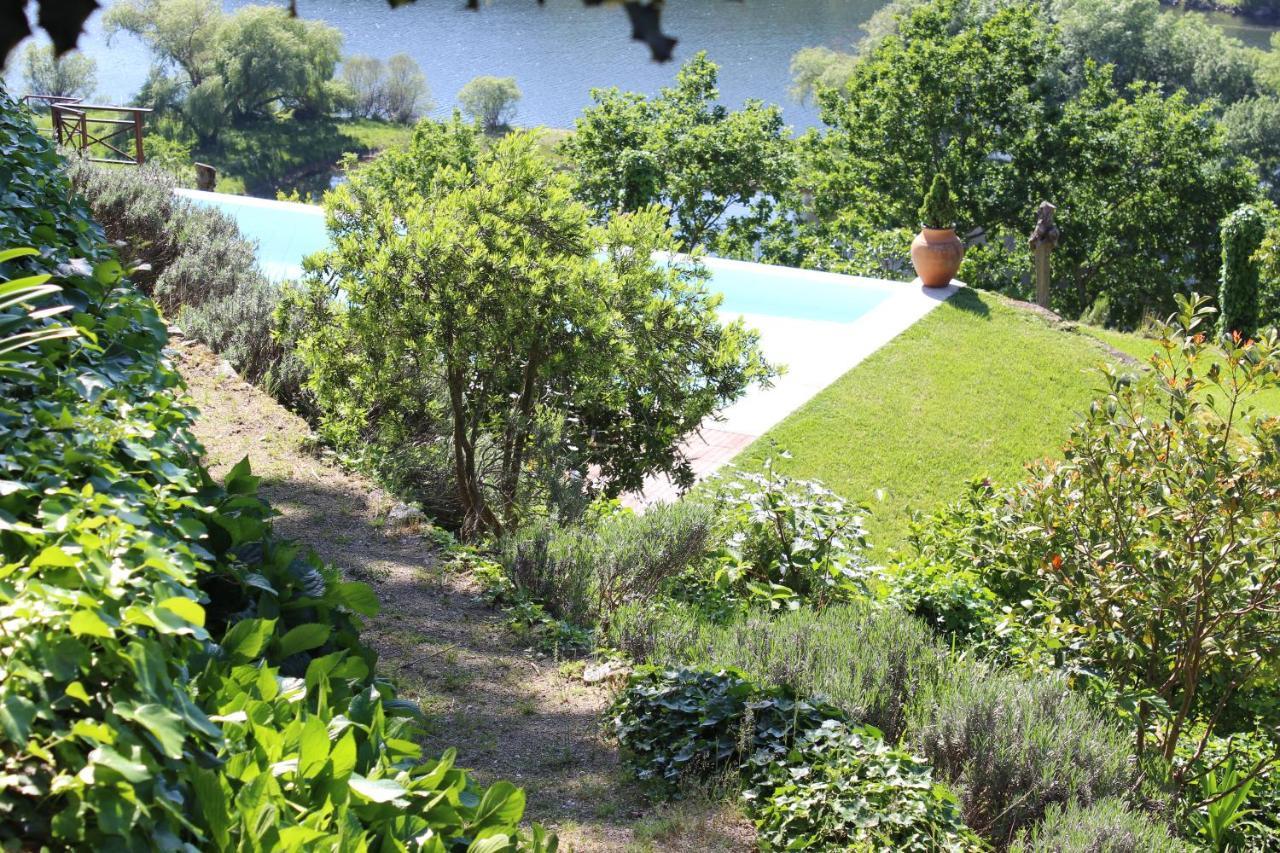 "Bouca Drigues" Casa Antiga De Pedra Com Piscina E Vista Rio Villa Amarante Bagian luar foto