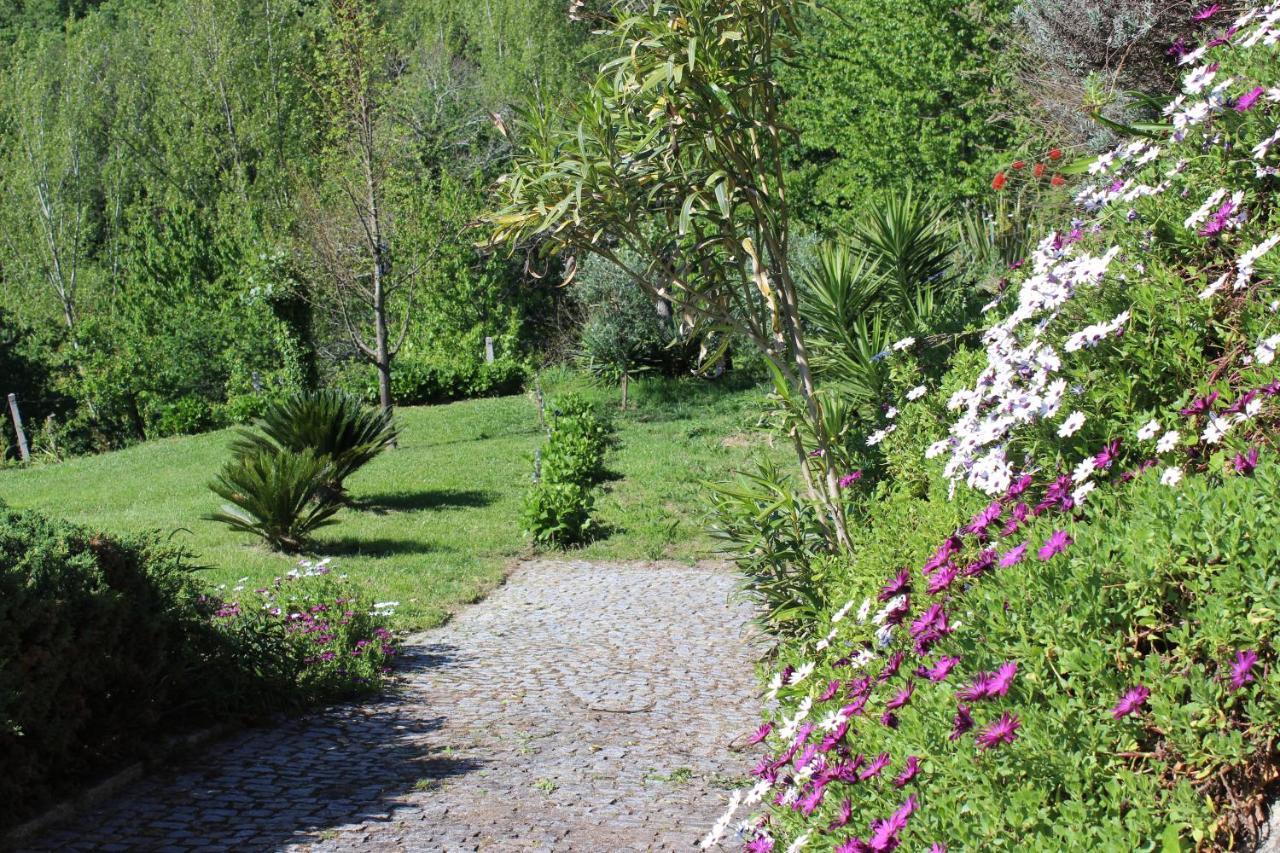 "Bouca Drigues" Casa Antiga De Pedra Com Piscina E Vista Rio Villa Amarante Bagian luar foto
