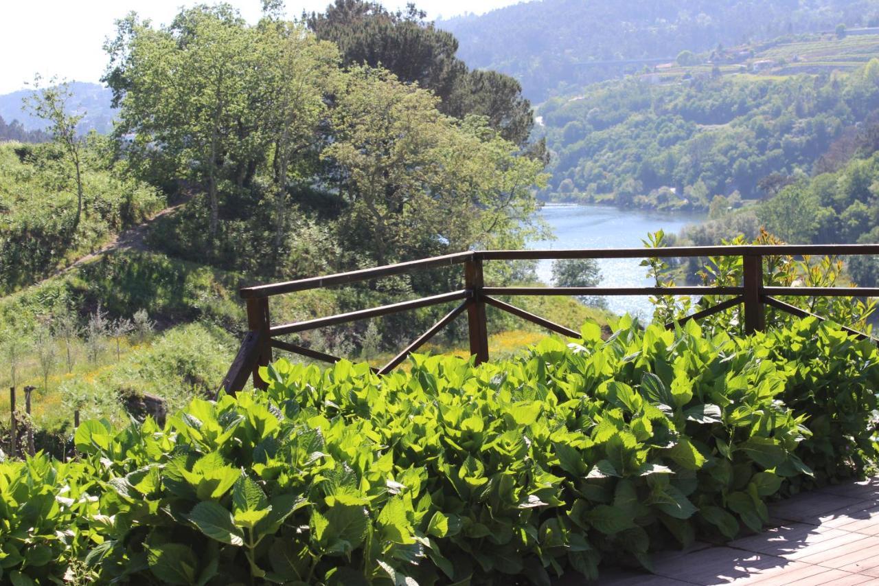 "Bouca Drigues" Casa Antiga De Pedra Com Piscina E Vista Rio Villa Amarante Bagian luar foto