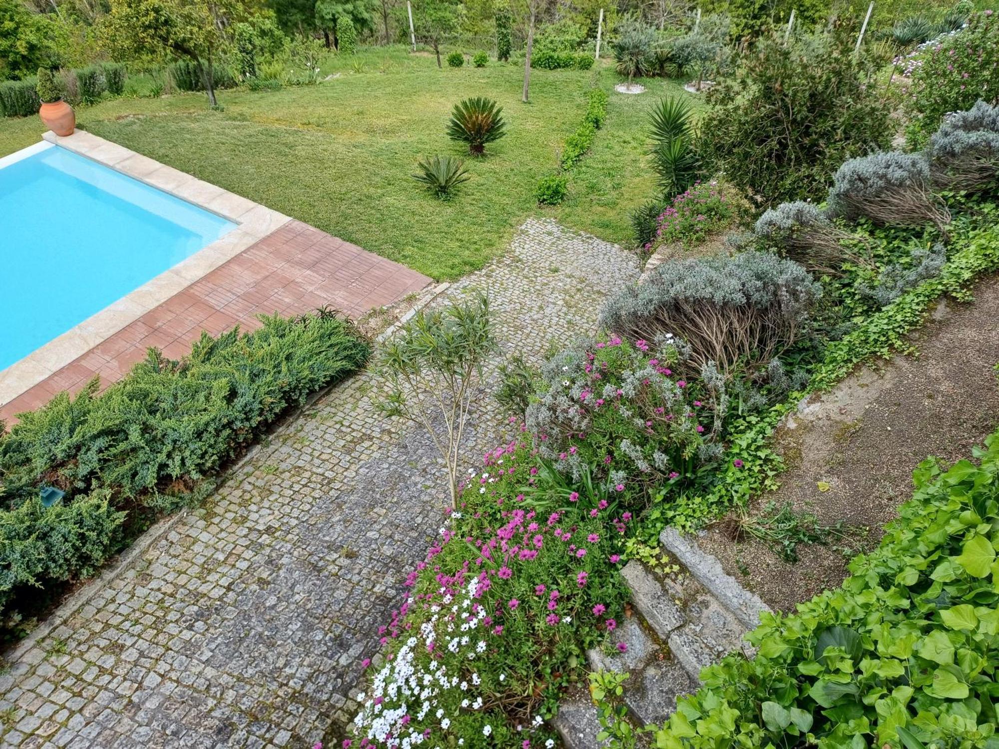 "Bouca Drigues" Casa Antiga De Pedra Com Piscina E Vista Rio Villa Amarante Bagian luar foto